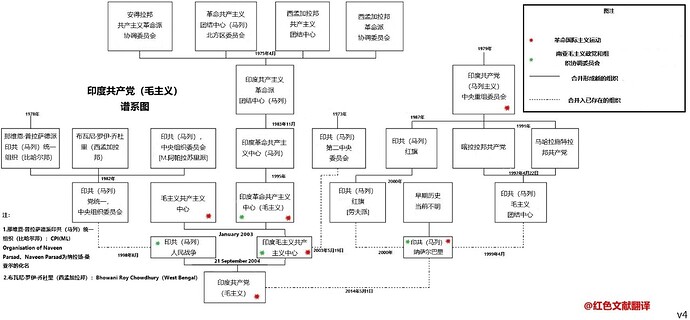 印共（毛）谱系图